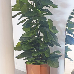 Fiddle-Leaf Ficus 'giant-leaf' 1.2m - artificial plants, flowers & trees - image 6