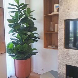 Fiddle-Leaf Ficus 'giant-leaf' 1.2m - artificial plants, flowers & trees - image 4