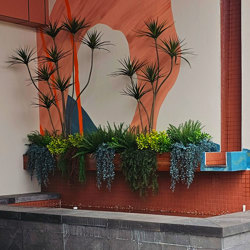 Dracaena Marginata Tree- 1.8m with 5 heads  - artificial plants, flowers & trees - image 3