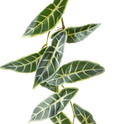 Trailing Vine- 1.75m Mini Elephant Ear - artificial plants, flowers & trees - image 2
