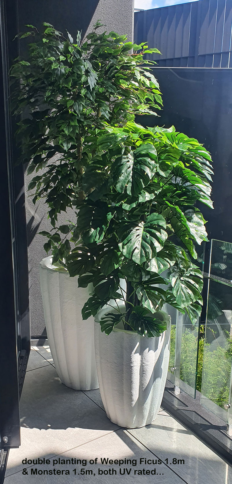 Monsterio UV-treated 1.5m