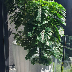 Monsterio UV-treated 1.5m - artificial plants, flowers & trees - image 5