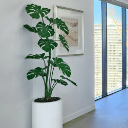 Monstera 'giant leaf' 1.6m - artificial plants, flowers & trees - image 4
