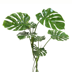 Monstera 'giant leaf' 1.2m - artificial plants, flowers & trees - image 2