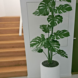 Monstera 'giant leaf' 1.6m - artificial plants, flowers & trees - image 5