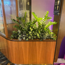 Zanzibar Gem Plant 90cm - artificial plants, flowers & trees - image 2