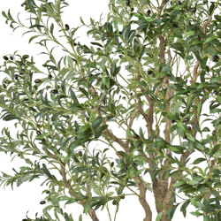 Giant Olive Tree- 2.7m tall - artificial plants, flowers & trees - image 1