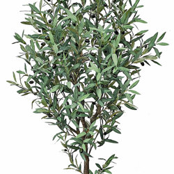 Olive Tree 1.7m - artificial plants, flowers & trees - image 2