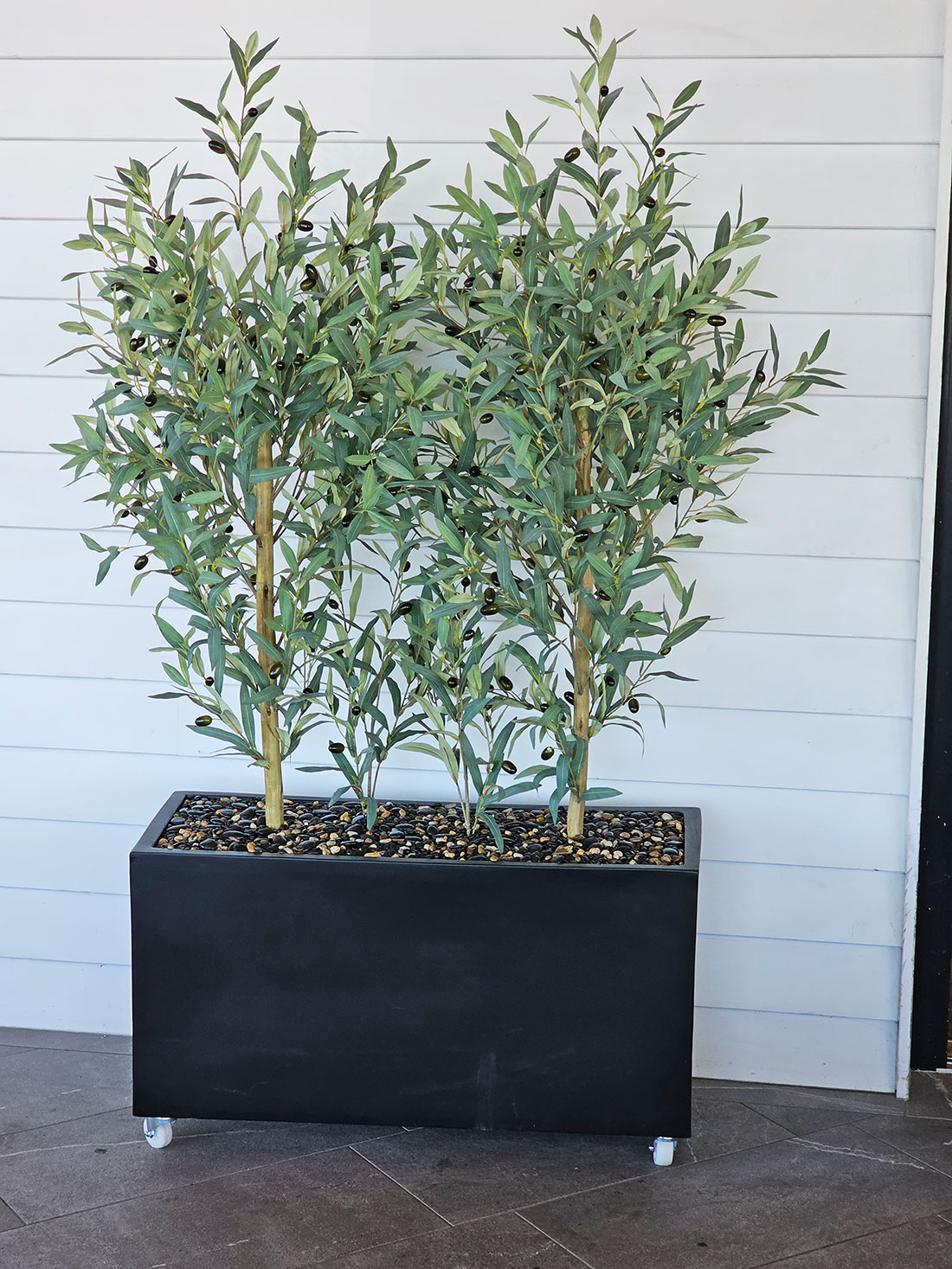 Olive Topiary 1.2m