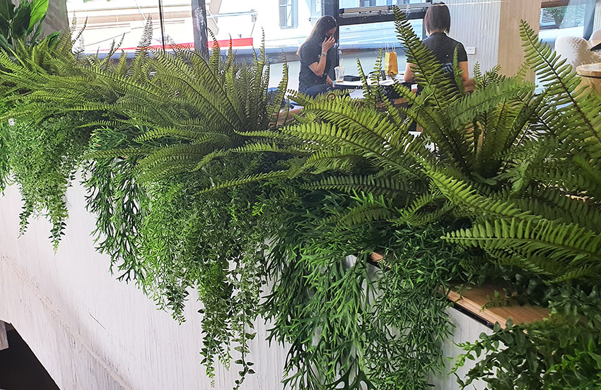 'Screens meet Greens' at flagship tech store...