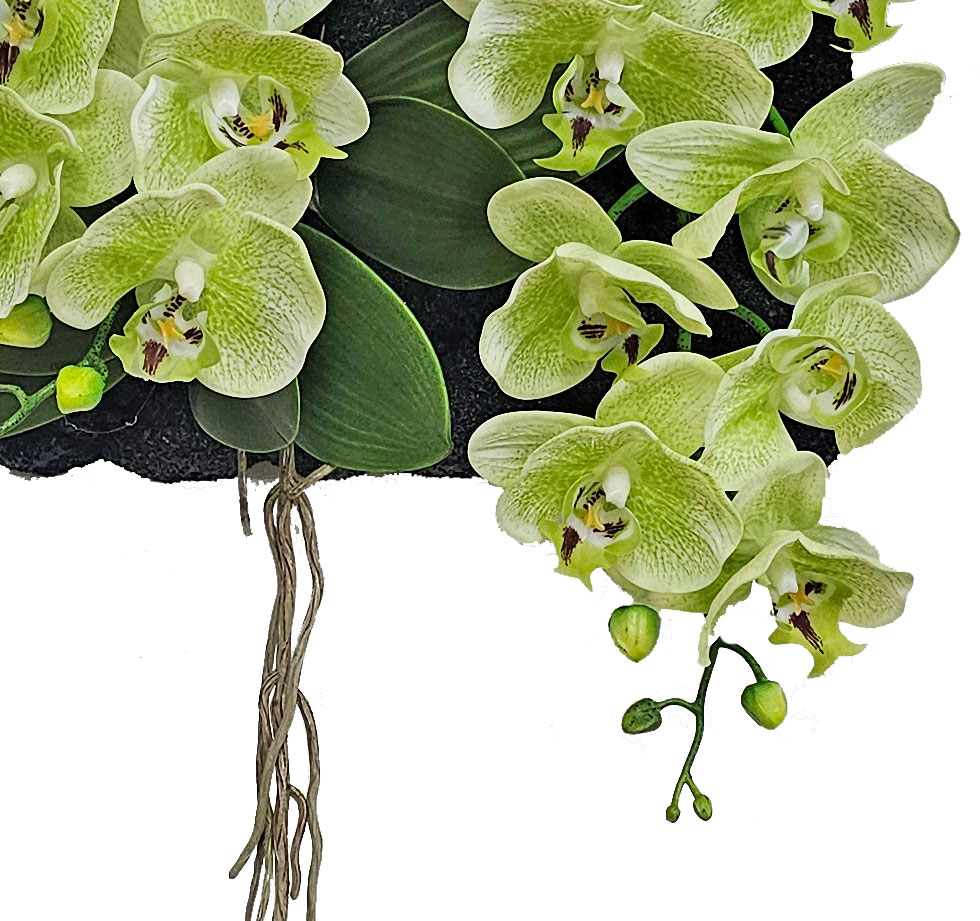 Orchid Wall-Plaque green flowers