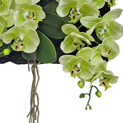 Orchid Wall-Plaque green flowers - artificial plants, flowers & trees - image 1