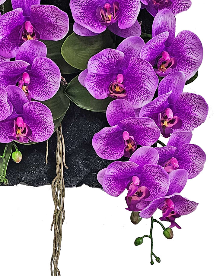 Orchid Wall-Plaque purple flowers