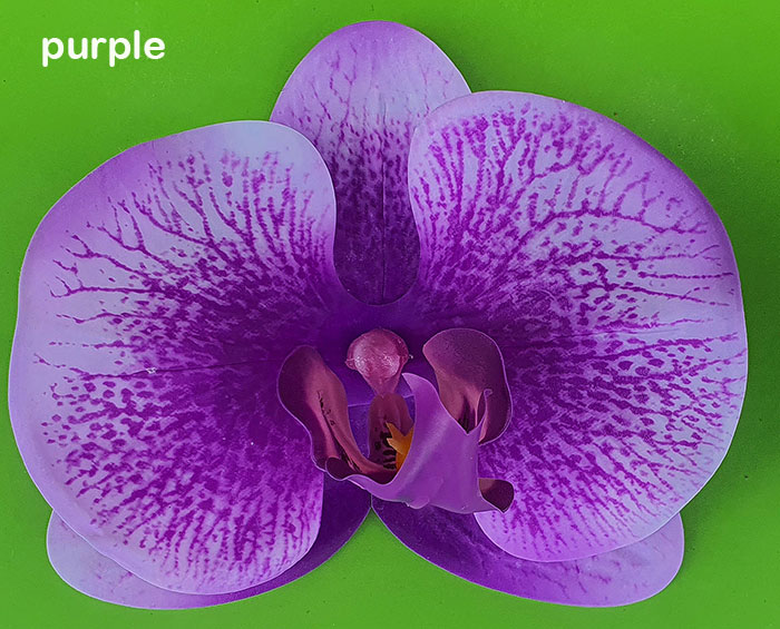 Artificial Butterfly Orchid Bowls- purple