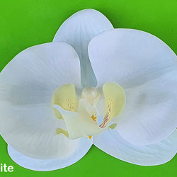 Artificial Butterfly Orchid Bowls- purple - artificial plants, flowers & trees - image 3