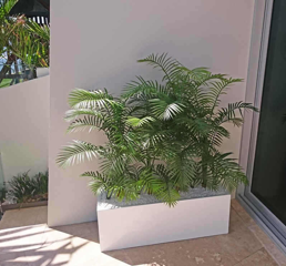 Outdoor Artificial Plants