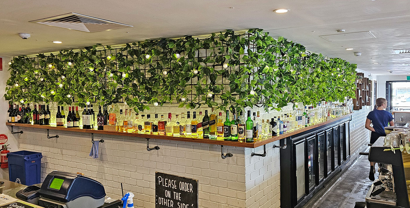 Trailing Vines - 1.8m Pothos Garland