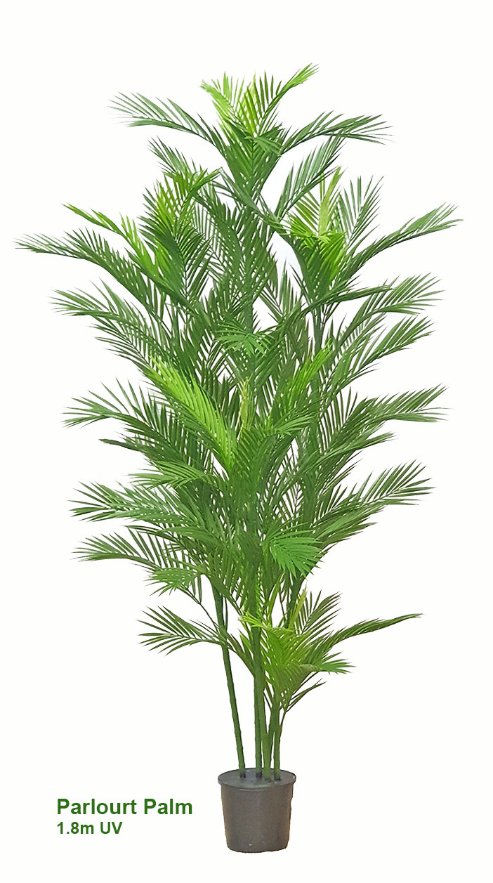 Parlour Palm UV 0.9m
