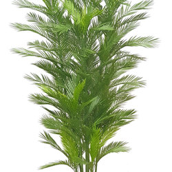 Parlour Palm UV 2.1m - artificial plants, flowers & trees - image 5