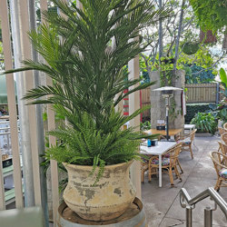 Parlour Palm UV 1.9m - artificial plants, flowers & trees - image 1