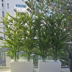 Parlour Palm UV 1.9m - artificial plants, flowers & trees - image 8