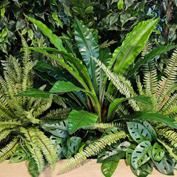 Bird's Nest Fern 90cm - artificial plants, flowers & trees - image 1