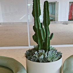 Cactii- San Pedro Cactus 1.2m - artificial plants, flowers & trees - image 3