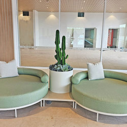Cactii- San Pedro Cactus 1.2m - artificial plants, flowers & trees - image 4