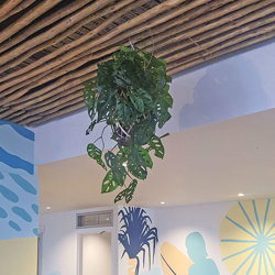 Hanging Cane Lantern- Monstera med - artificial plants, flowers & trees - image 1