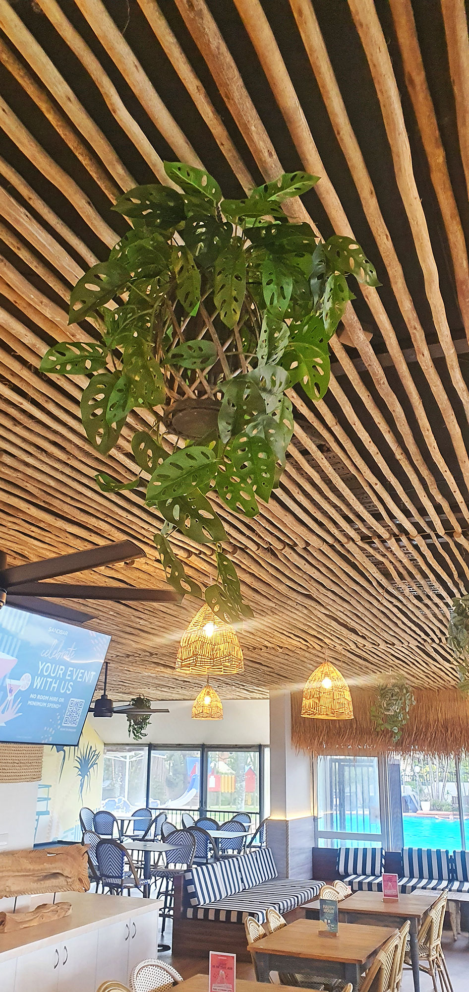 Hanging Cane Lantern- Monstera med