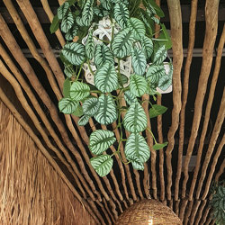 Hanging Cane Lantern- Silver Prayer Bush- sml - artificial plants, flowers & trees - image 2