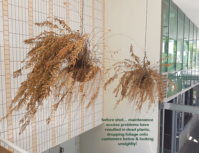 Artificial Plants thrive where live plants fail!