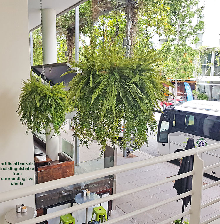 Artificial Plants thrive where live plants fail!
