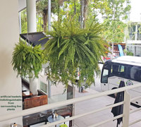 Artificial Plants thrive where live plants fail!