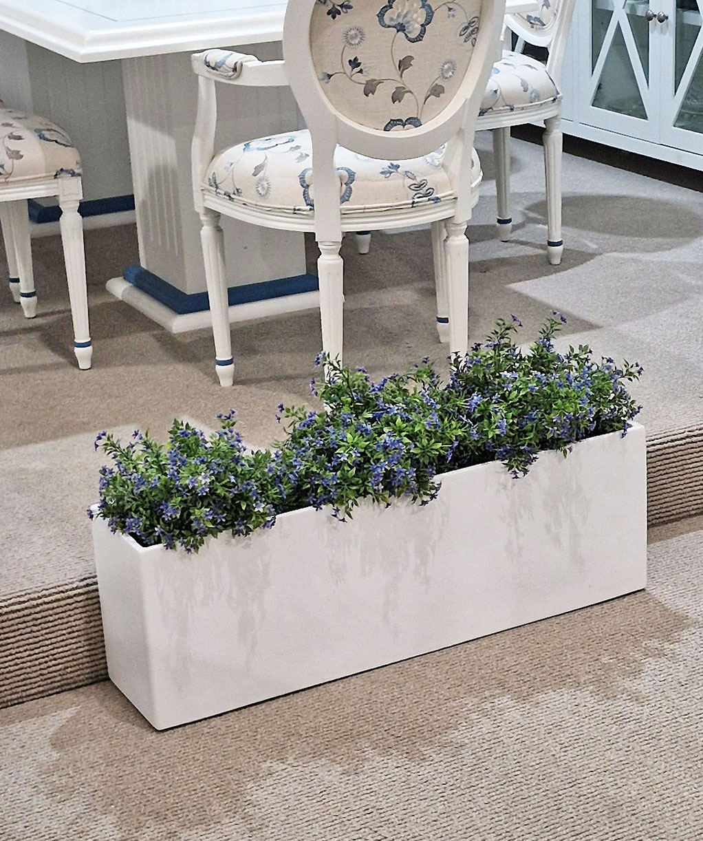Seaside Daisy Bush- white [UV-treated]