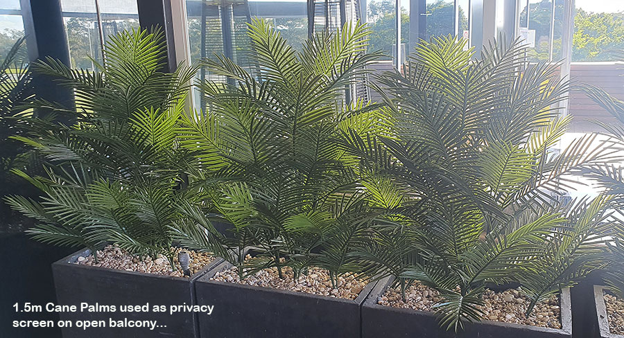 Cane Palm 1.8m deluxe*     UV-stable *extra bushy