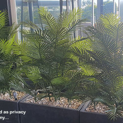 Cane Palm 1.8m deluxe*     UV-stable *extra bushy - artificial plants, flowers & trees - image 8