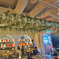 Trailing Clematis Plant - artificial plants, flowers & trees - image 2