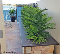 Artificial Palms replace 'dead palms' in external planter...