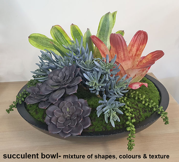 Bromeliad- dark green in plastic pot 