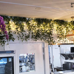Trailing Clematis Plant - artificial plants, flowers & trees - image 6