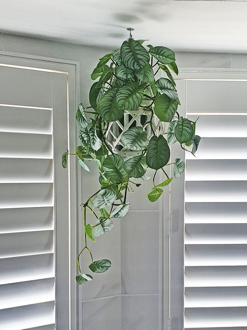 Hanging Cane Lantern- Silver Prayer Bush- sml