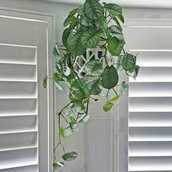 Hanging Cane Lantern- Silver Prayer Bush- sml - artificial plants, flowers & trees - image 1