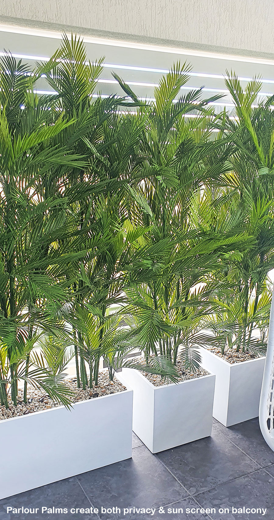 Parlour Palm UV 0.9m