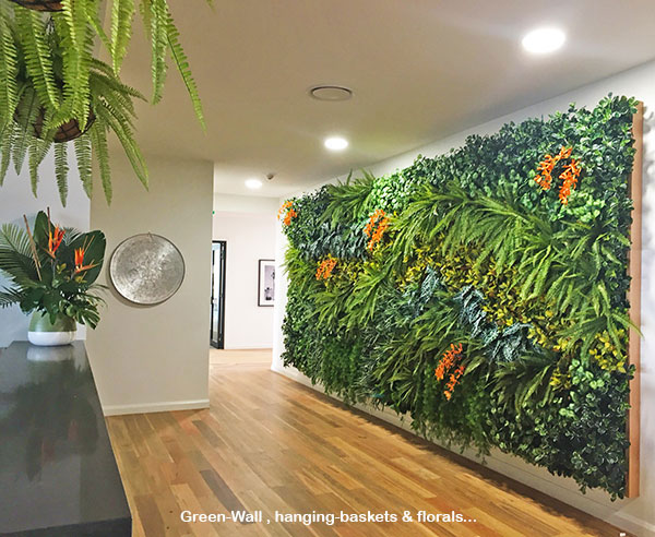 Before & After Shots..... Green-Walls 2
