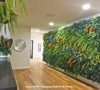 Before & After Shots..... Green-Walls 2