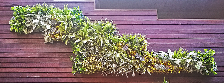 Artificial Green Walls in Shopping Mall