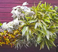 Artificial Green Walls in Shopping Mall