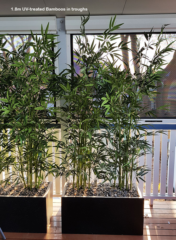 Bamboo UV-treated 1.6m