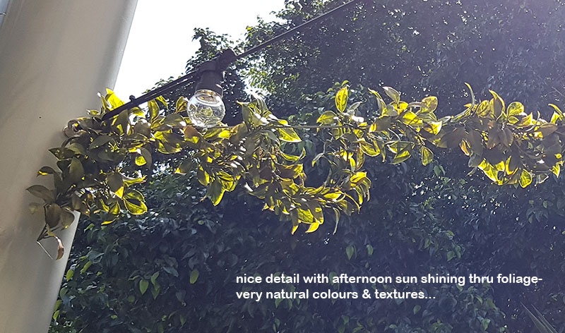 Bay Laurel Garland- UV-treated